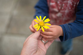 Spenden an die Generationenstiftung München